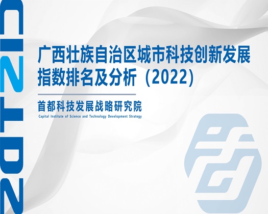 抽插BB视频【成果发布】广西壮族自治区城市科技创新发展指数排名及分析（2022）